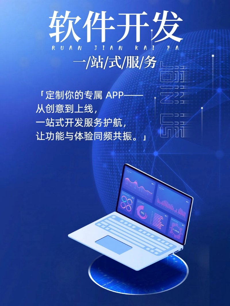 软件定制开发—助力企业精准破局