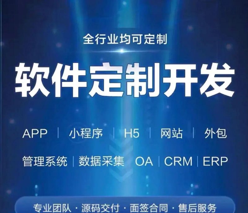 软件定制开发引领数字转型